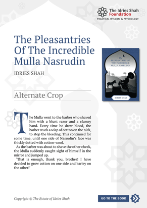 Alternate Crop from The Pleasantries of the Incredible Mulla Nasrudin