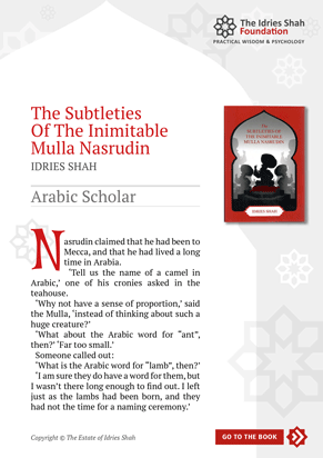 Arabic Scholar from The Subtleties of the Inimitable Mulla Nasrudin