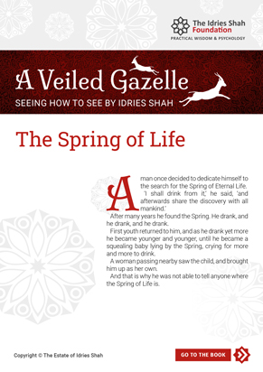 The Spring of Life from A Veiled Gazelle