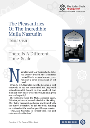 There Is a Different Time Scale from The Pleasantries of the Incredible Mulla Nasrudin