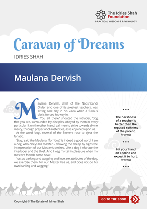Maulana Dervish from Caravan of Dreams