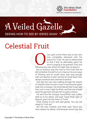 Celestial Fruit from A Veiled Gazelle
