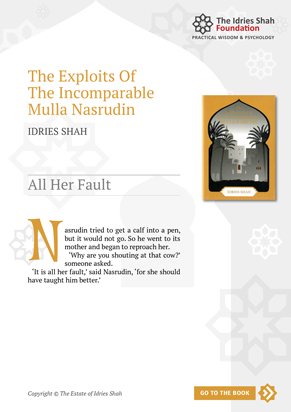 All Her Fault from The Exploits of the Incomparable Mulla Nasrudin
