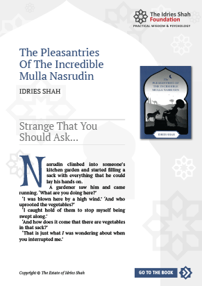 Strange That You Should Ask… from The Pleasantries of the Incredible Mulla Nasrudin