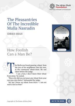 How Foolish Can a Man Be? from The Pleasantries of the Incredible Mulla Nasrudin