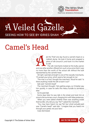 Camel’s Head from A Veiled Gazelle