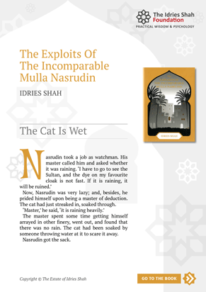 The Cat Is Wet from The Exploits of the Incomparable Mulla Nasrudin