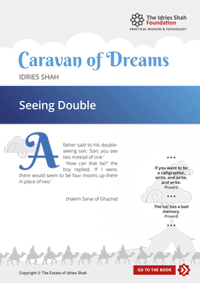 Seeing Double from Caravan of Dreams