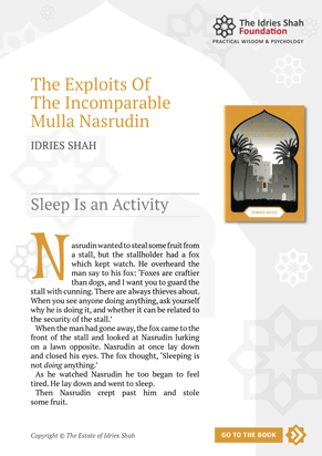 Sleep is an Activity from The Exploits of the Incomparable Mulla Nasrudin