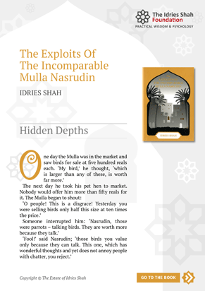Hidden Depths from The Exploits of the Incomparable Mulla Nasrudin