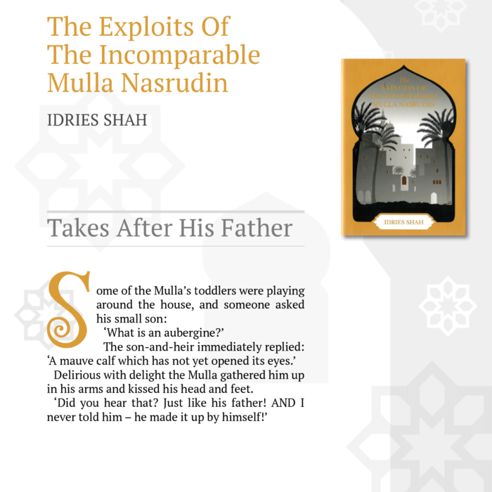 Takes After His Father from The Exploits of the Incomparable Mulla Nasrudin